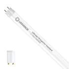 Ledvance LED Tube T8 Superior (EM/Mains) Standard Output 5.1W 810lm - 830 Warm White | 44cm - Replaces 15W